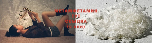 мет Алексин