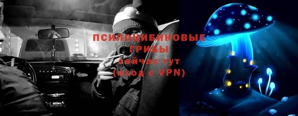 мет Алексин