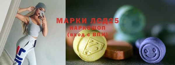 мет Алексин